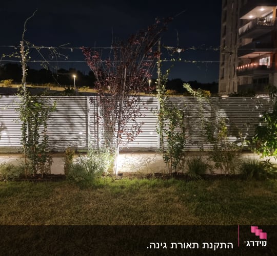 Outdoor garden with lighting and plants at night